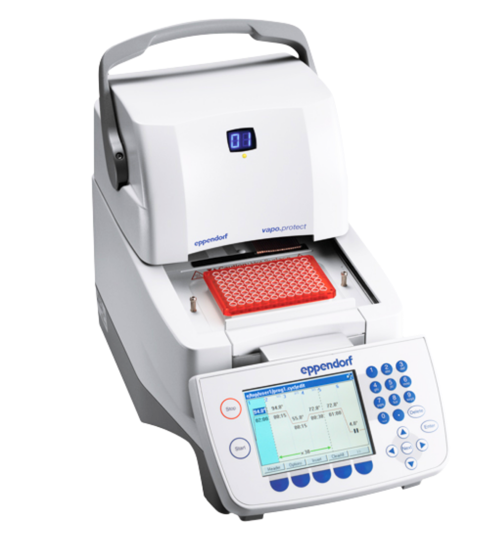 Equipo PCR - Identificación de patógenos por PCR