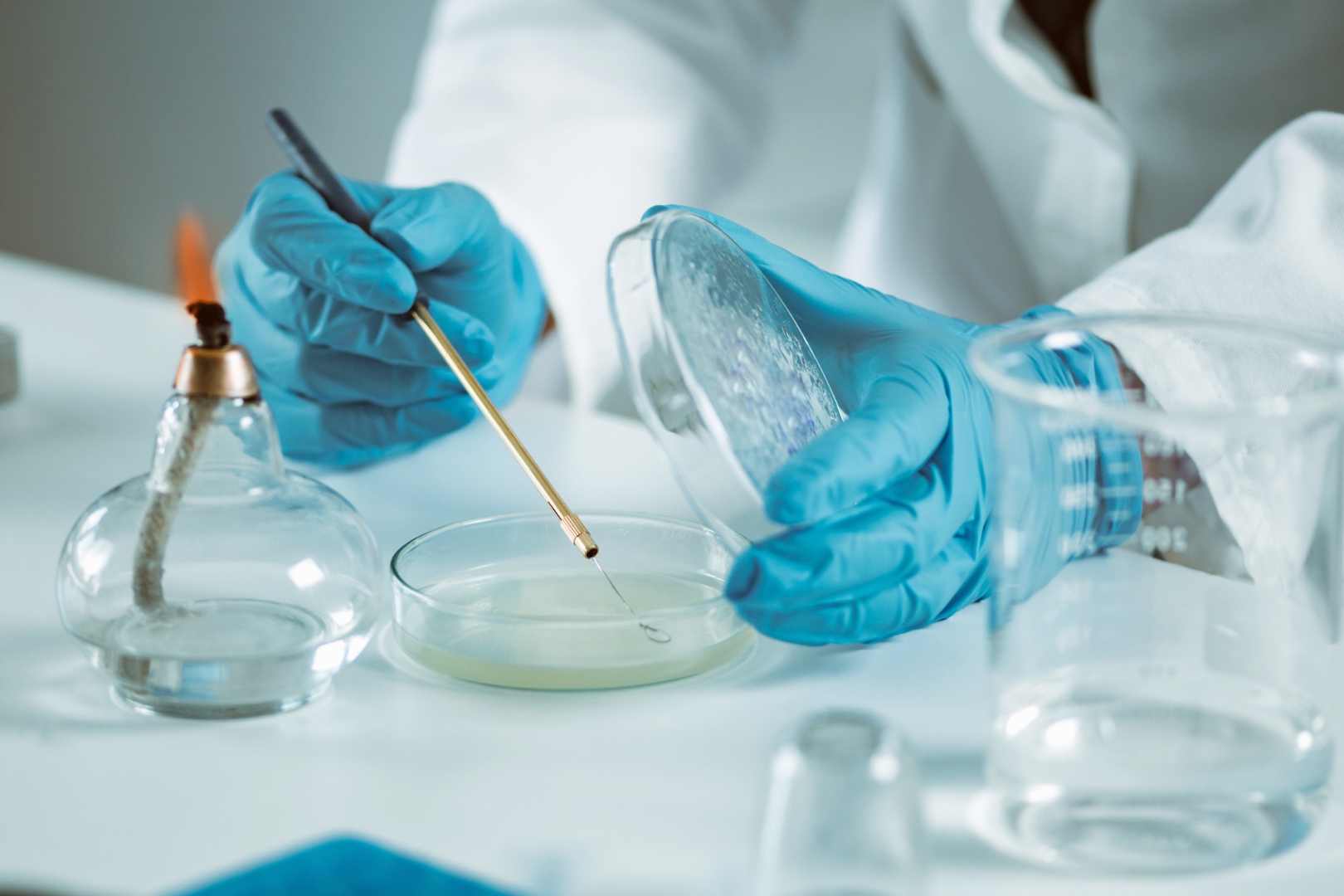 Laboratorio de Microbiología